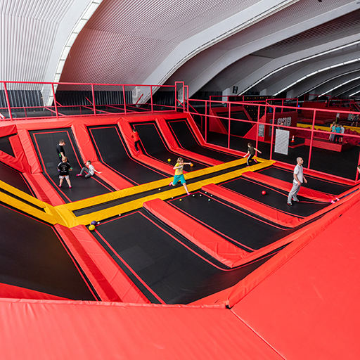 3D Dodgeball Arena